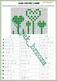 Liczby dodatnie i ujemne, karta pracy, kodowanie, klasa 6 i 7, walentynki, dzień kropki