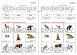 Klasa 4 - Organizmy różnią się sposobem odżywiania - notatka z terminologią angielską