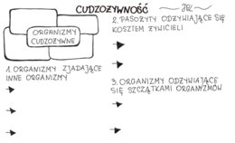 Cudzożywność (karta pracy)