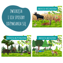 ZWIERZĘTA ROŚLINOŻERNE, MIĘSOŻERNE, WSZYSTKOŻERNE - PLANSZE EDUKACYJNE