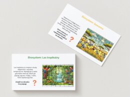 Puzzle. Układanki. Zwierzęta. Ekosystemy