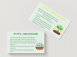 PLANSZA - Cykl życia roślin