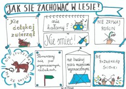 Jak się zachować w lesie?