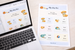 My dog Rex – mini picture dictionary