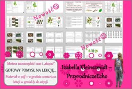 Pomysł na lekcję/karta pracy/stacje zadaniowe/materiał do lekcji do tematu „Pęd – budowa i funkcje łodygi.” w pdf. W gratisie niekomercyjny scenariusz lekcji/pomysł na lekcję w programie genial.ly do edycji. Biologia 5. Dział „Tkanki i organy roślinne”.