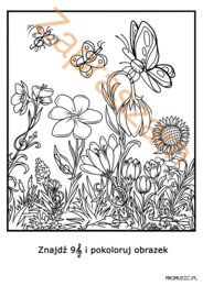 Bystre oko/ klucz wiolinowy/ łąka