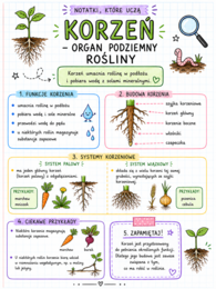 Notatki, które uczą – BIOLOGIA klasa 5