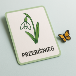 Pory roku – zestaw 40 kart obrazkowych