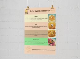 Plakaty edukacyjne. Cykl życia pszczoły. Jak prawidłowo segregować odpady?