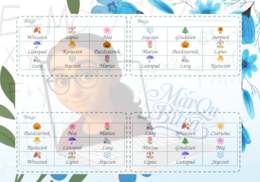 Gra edukacyjna BINGO KALENDARZ: Miesiące, Pory Roku, Kwartały (Zestaw XXL + Scenariusz Lekcji)