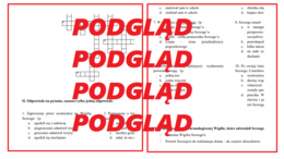 Test, kartkówka, sprawdzian ze znajomości lektury "Opowieść wigilijna"