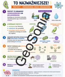 Różnorodność protistów  biologia klasa 5 sketchnotka