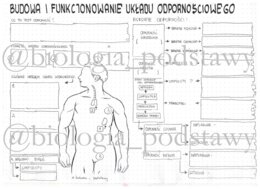Klasa 7 - Układ odpornościowy - karta pracy