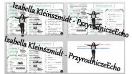 Minizestaw na temat „Rodzaje krajobrazów” – sketchnotka + karta pracy w power point + gratisowy link do prezentacji multimedialnej niekomercyjnej wykonanej w genial.ly do indywidualnego pobrania i użycia do celów niekomercyjnych. Przyroda 4, „Poznajemy k
