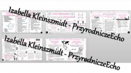 Zestaw sketchnotek – notatek do całego działu „Współrzędne geograficzne” wykonanych w power point do edycji. Geografia 6