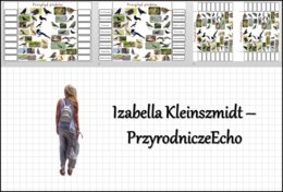 Notatka okienkowa „Przegląd ptaków” w pdf. Biologia 6 dział „Kręgowce stałocieplne”.