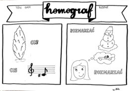 Język polski. Homografy