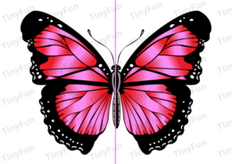 Kolorowe motyle 🦋 łączenie połówek | wiosenna zabawa,  PDF do druku