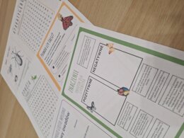 Owady - nowoczesna karta pracy