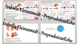 Minizestaw na temat „Zmysły powonienia, smaku i dotyku” – sketchnotka + karta pracy w power point + gratisowy link do prezentacji multimedialnej niekomercyjnej wykonanej w genial.ly do indywidualnego pobrania i użycia do celów niekomercyjnych. Biologia 7