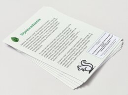 Zabawa w „Drzewo i wiatr”: dzieci odgrywają role drzew, ptaków, zwierząt.