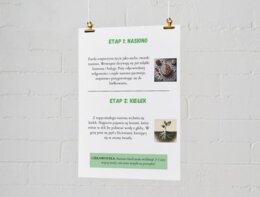 Plakaty edukacyjne. Cykl życia fasoli (etap 1: nasiono, etap 2: kiełek, etap 3: młoda roślina, etap 4: dorosła roślina). Jak segregować śmieci? Kolorowe kosze i co do nich wrzucamy? Najczęstsze błędy i odpady nietypowe.