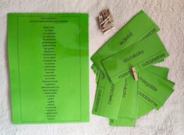 Ortografia "razem", "osobno" pomoce klamerkowe