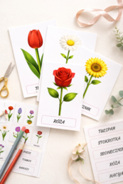 Moje pierwsze kwiaty – karty obrazkowe dla 2–4-latków