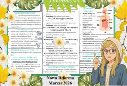 Sketchnotka/notatka - dla ucznia i przypomnienie dla nauczyciela w pdf. Temat "Poznaję składniki pokarmowe". Przyroda 4. "Odkrywam przyrodę" zgodna z wydawnictwem Nowa Era. Dział "Jak działa moje ciało?".