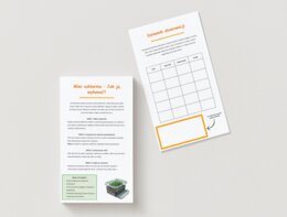 Własny mini-ogród lub mini-szklarnia. Sadzenie roślin w słoikach, doniczkach z recyklingu. Dziennik obserwacji