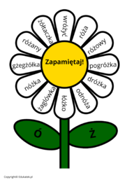 Zestaw ortograficzny – trudniejsze wyrazy