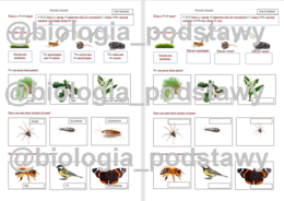 Klasa 4 - Rośliny i zwierzęta wokół nas - notatka w języku angielskim
