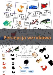 Karty Pracy na Percepcję Wzrokową - nauka liter, nauka czytania, matematyka