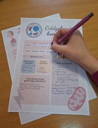 Oddychanie komórkowe - plan wydarzeń