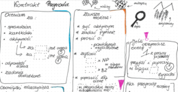 Kontrakt Przyroda. Lekcja organizacyjna.