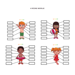 My body set - zestaw do nauki części ciała, organów oraz 5 zmysłów, CLIL