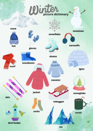 Winter Picture Dictionary