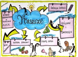 Klasa 7. Biologia. Tłuszcze (dwie karty pracy: kolorowa + do uzupełnienia)