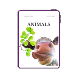 Angielski - słownictwo A1/A2 - zestaw 7 ebooków tematycznych