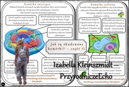 Sketchnotki/notatka/streszczenia/wklejki/ściągi dla ucznia i nauczyciela. Temat „Jak są zbudowane komórki?” w pdf. Biologia 5 dział „Organizacja i chemizacja życia”. Wykonana na podstawie podręcznika z wydawnictwa WSiP.