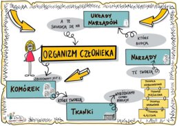 Klasa 7 - Organizm Człowieka