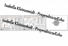 Minizestaw na temat „. Substancje proste, substancje złożone a mieszaniny” – sketchnotka + karta pracy w power point + gratisowy link do prezentacji multimedialnej niekomercyjnej wykonanej w genial.ly do indywidualnego pobrania i użycia do celów niekomer