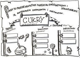 Klasa 7. Biologia. Cukry (dwie karty pracy: kolorowa + do uzupełnienia)