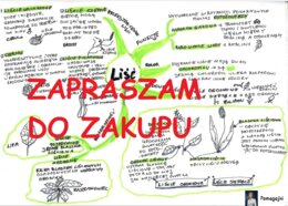?Biologia klasa 5 –liść