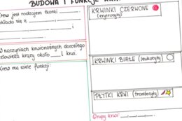 Budowa i funkcje krwi (karta pracy)