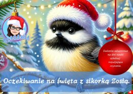 Oczekiwanie na święta z sikorką Zosią.