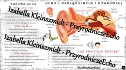Sketchnotka - notatka „Ucho - narząd słuchu i równowagi” wykonana w power point do edycji. Biologia 7; „Narządy zmysłów”