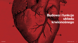 Budowa i funkcje układu krwionośnego KLASA 3 ROZSZERZENIE BIOLOGIA