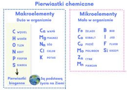 Makroelementy mikroelementy pierwiastki chemiczne