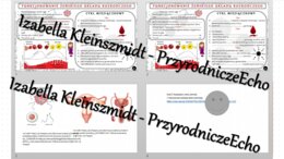 Minizestaw na temat „Funkcjonowanie żeńskiego układu rozrodczego” – sketchnotka + karta pracy w power point + gratisowy link do prezentacji multimedialnej niekomercyjnej wykonanej w genial.ly do indywidualnego pobrania i użycia do celów niekomercyjnych. 